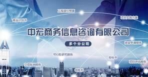 安顺项目申请报告全程商务信息咨询服务可行性分析